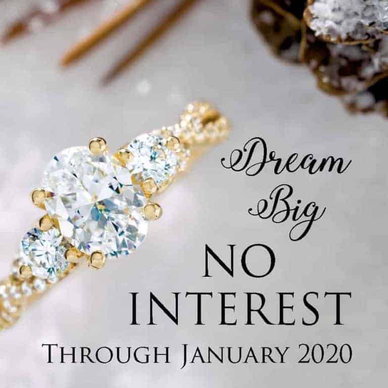 No Interest Through January 2020