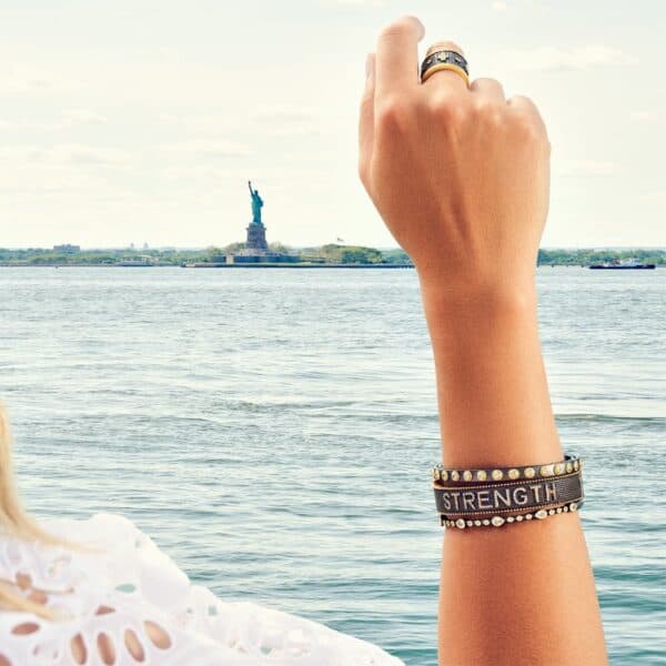 SS+ YG + Blk Rho +Strength Brace+ CZ+ Hinge SS+ YG + Blk Rho +Strength Brace+ CZ+ Hinge